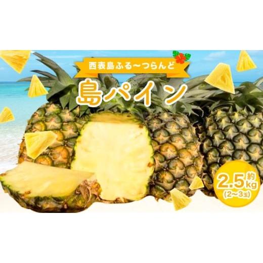 ふるさと納税 果物類 沖縄県 竹富町 2026年 先行予約 島パイン (ハワイ種) 約2.5kg(2〜3玉) パイナップルの王道 西表島産 パイン 果物 フルーツ 約2.5kg(2…