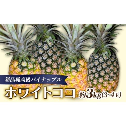 ふるさと納税 果物類 沖縄県 竹富町 新品種高級パイナップル ホワイトココ 希少品種 ココナッツの香り 約3kg(3〜4玉)
