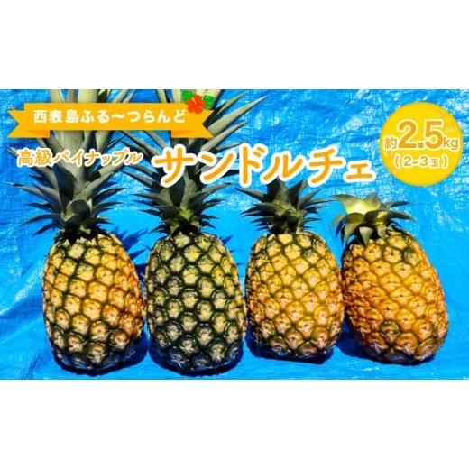 ふるさと納税 果物類 沖縄県 竹富町 高級パイナップル 芳醇な香りと甘み サンドルチェ 約2.5kg(2〜3玉)