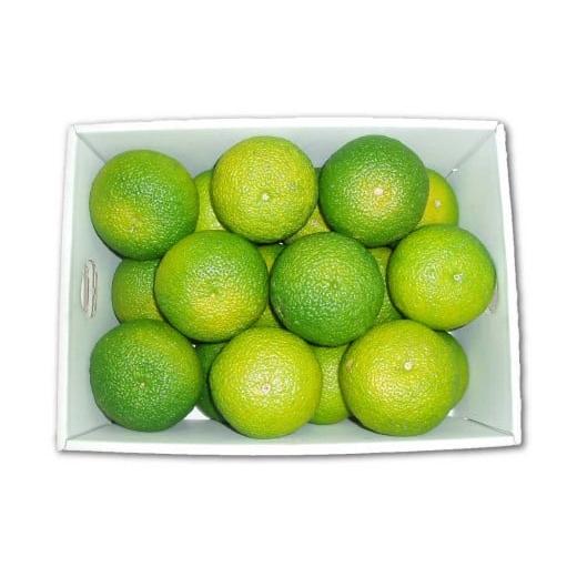 ふるさと納税 みかん・柑橘類 熊本県 芦北町 B358-06 スイートスプリング L 約3kg