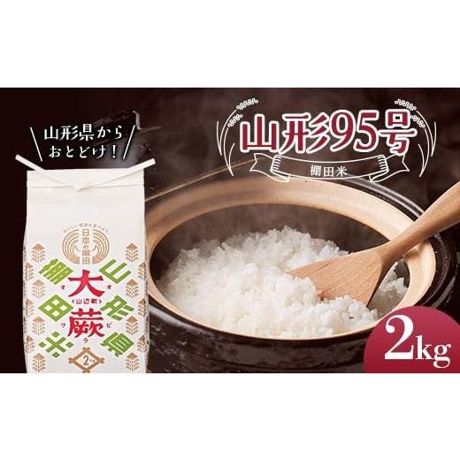 ふるさと納税 米 山形県 - 令和7年産米 山形県山辺町大蕨地区産 山形95号(棚田米)