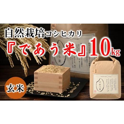 ふるさと納税 玄米 石川県 羽咋市 数量限定 新米 玄米 10kg 令和7年産 こしひかり 自然栽培 栄養 豊富 お米 米 こめ おこめ kome ご飯 ごはん R7 2025年産 こ…
