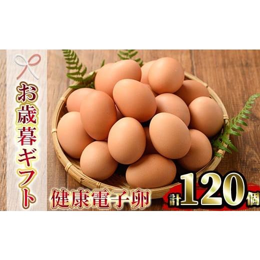 ふるさと納税 卵(鶏、烏骨鶏等) 鹿児島県 いちき串木野市 令和7年お歳暮対応 健康電子卵 赤卵 Lサイズ 120個(10個×12パック)(うち、割れ保証分10個)国…