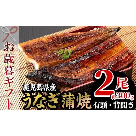 ふるさと納税 うなぎ 鹿児島県 いちき串木野市 令和7年お歳暮対応 厳選 国産 うなぎ 蒲焼 2尾 約300g(鹿児島県産)国産 うなぎ 鰻 ウナギ 地焼き 南竹鰻加工…