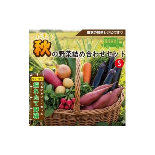 ふるさと納税 野菜類 大阪府 和泉市 こだわり秋の野菜詰め合わせセット Sサイズ 栽培期間中農薬・化学肥料・除草剤不使用の旬野菜 1679692