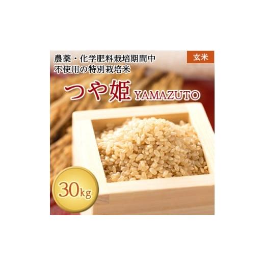 ふるさと納税 玄米 山形県 川西町 先行予約 令和7年特別栽培米 つや姫YAMAZUTO 玄米30kg 1668049