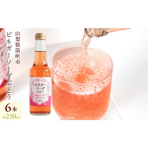 ふるさと納税 炭酸飲料 山梨県 笛吹市 ビネガーソーダぶどう6本セット 182-030
