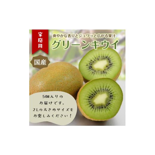ふるさと納税 果物類 静岡県 東伊豆町 東伊豆・佐藤農園のキウイ 家庭用 5個入(2Lサイズ) 1396 / 佐藤農園 果物 フルーツ 農家直送 静岡県 東伊豆町