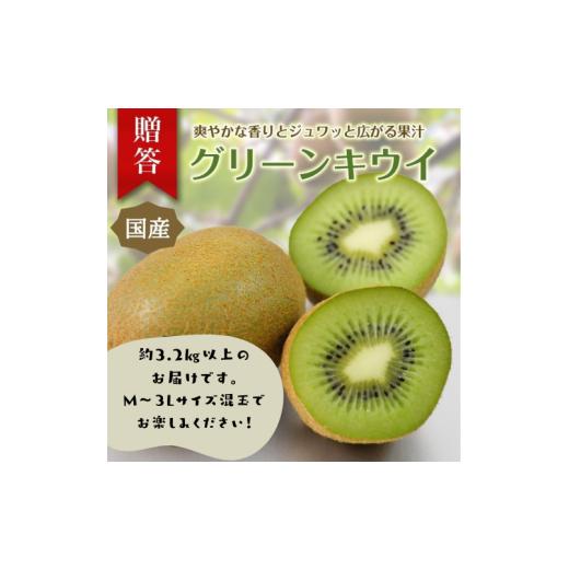 ふるさと納税 果物類 静岡県 東伊豆町 東伊豆・佐藤農園のキウイ 贈答用 約3.2kg以上(Mサイズ〜3Lサイズ) 1395 / 佐藤農園 果物 フルーツ 農家直送 静岡…