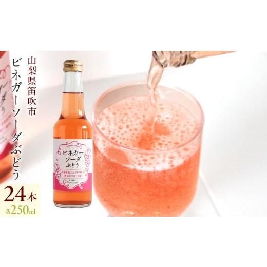 ふるさと納税 炭酸飲料 山梨県 笛吹市 ビネガーソーダぶどう24本セット 182-032_1