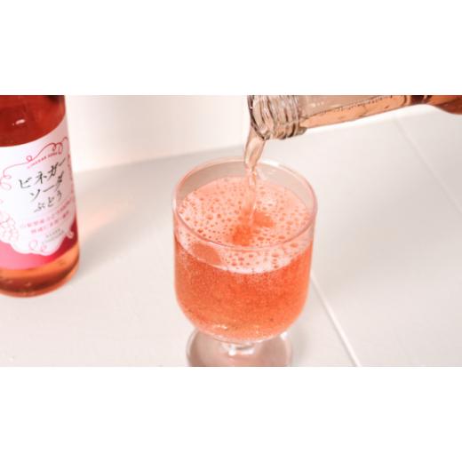 ふるさと納税 炭酸飲料 山梨県 笛吹市 ビネガーソーダぶどう24本セット 182-032_3