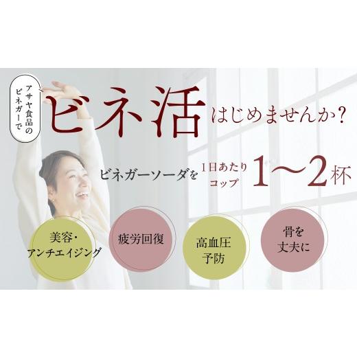 ふるさと納税 炭酸飲料 山梨県 笛吹市 ビネガーソーダぶどう24本セット 182-032_4