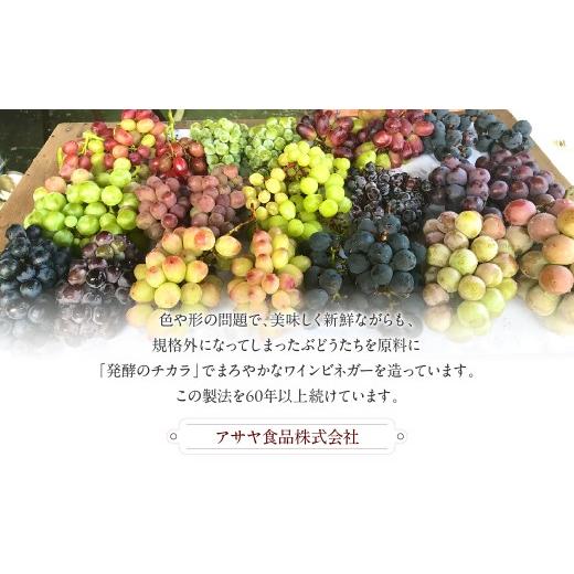 ふるさと納税 炭酸飲料 山梨県 笛吹市 ビネガーソーダぶどう24本セット 182-032_6
