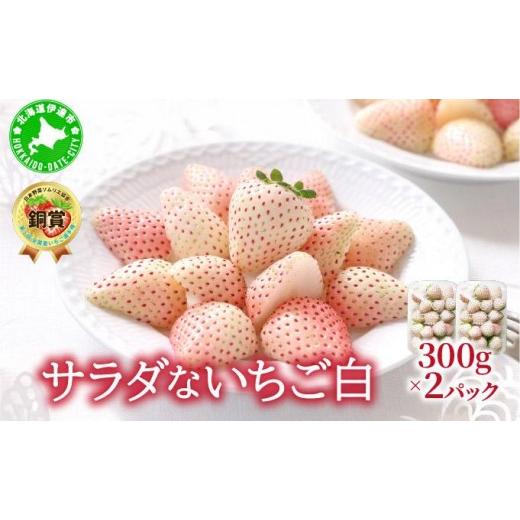 ふるさと納税 いちご 北海道 伊達市 2026年先行予約 サラダないちご(白) ecg-001 白