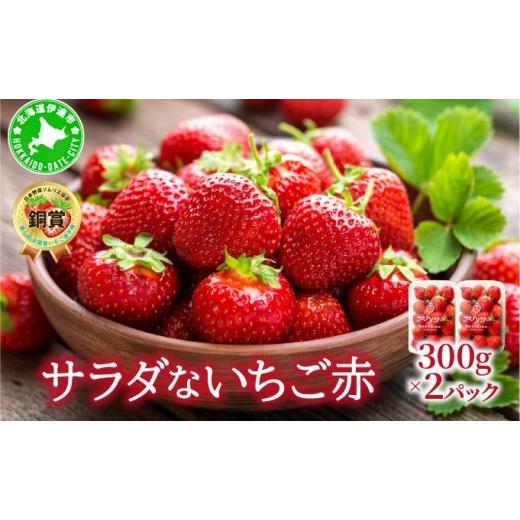 ふるさと納税 いちご 北海道 伊達市 2026年先行予約 サラダないちご(赤) ecg-002 赤