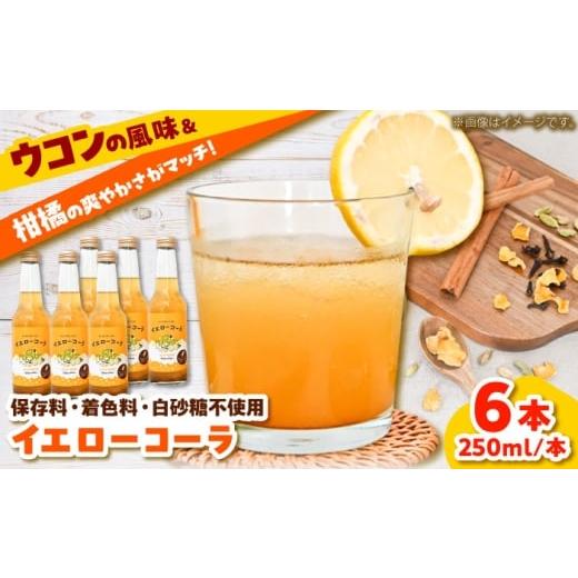 ふるさと納税 炭酸飲料 島根県 雲南市 すぐ飲めるイエローコーラ 250ml×6本セット コーラ 手作り ジュース スパイス 無添加 健康 爽やか リフレッシュ こだわ…