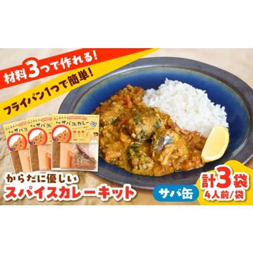 ふるさと納税 加工品等 島根県 雲南市 サバ缶カレーキット(4人分)3セット 本格 無添加 カレースパイス サバ缶 さば カレーキット 美味しい カレー12人分 島…