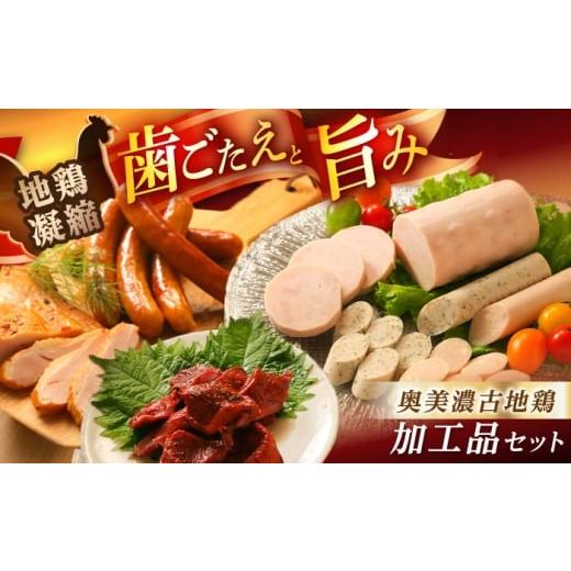 ふるさと納税 鶏肉 セット 岐阜県 恵那市 奥美濃古地鶏Bセット / 地鶏 鶏肉 とり肉 肉 ハム ウインナー パストラミ ソーセージ 砂肝 燻製 セット 詰め合わせ …