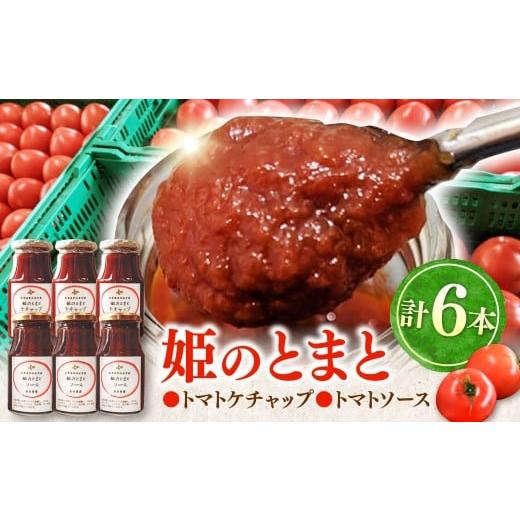 ふるさと納税 缶詰・瓶詰 ソース 岐阜県 多治見市 姫の完熟トマトケチャップ・トマトソース 各3本セット 多治見市 / 岩原農園 トマト とまと ケチャップ ソー…