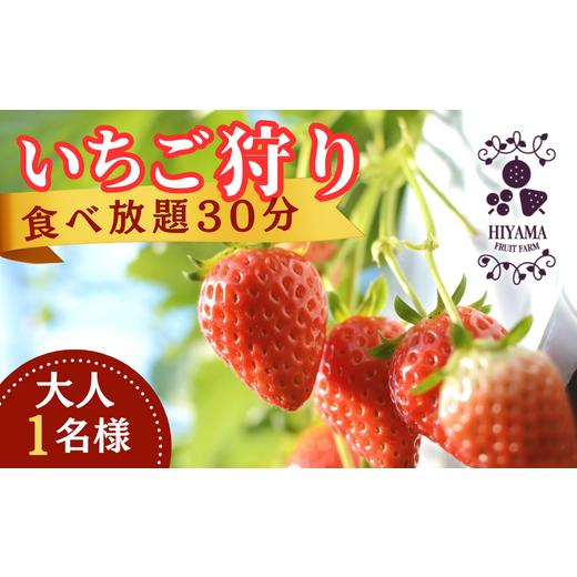 ふるさと納税 いちご 茨城県 常陸太田市 いちご狩り 5月6日〜5月中旬頃まで限定 檜山いちご園 食べ放題30分 大人1名様 (中学生以上) チケット送付 | 茨城県 常…