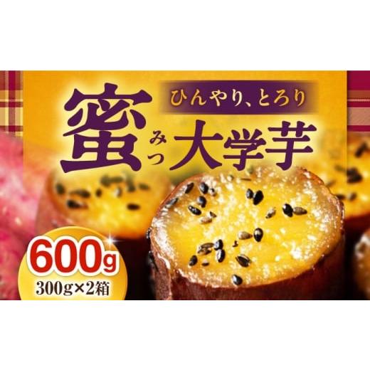 ふるさと納税 干し芋 愛媛県 大洲市 冷凍 熟成ひやとろ、みつ大学芋300g×2箱 愛媛県大洲市/(有)玉井民友商店 さつまいも 大学芋 スイーツ