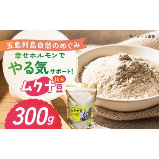 ふるさと納税 豆類 長崎県 五島市 ムクナ豆 粉末300g 五島市/五島列島自然のめぐみ