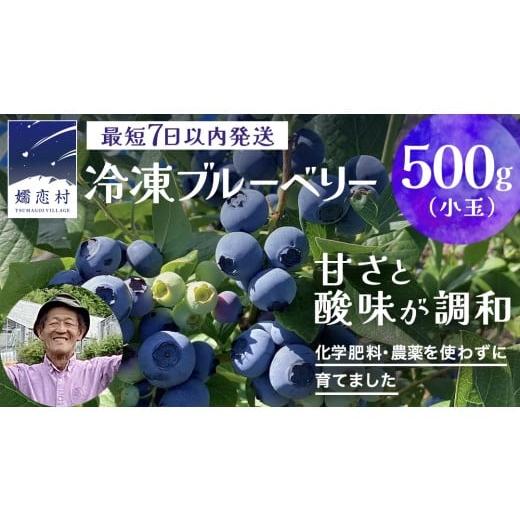 ふるさと納税 果物類 群馬県 嬬恋村 最短 7日以内 発送 冷凍 ブルーベリー 小玉 500g 化学肥料 農薬 使わずに栽培 数量限定 小粒 国産 フルーツ スムージー …