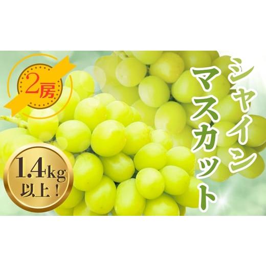 ふるさと納税 果物類 ぶどう 大阪府 河内長野市 シャインマスカット 2房 1.4kg以上 中村オリジナルぶどう園 発送前のご連絡についてご注意下さい 葡萄 ブドウ …