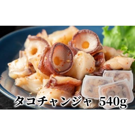 ふるさと納税 惣菜・レトルト 冷凍 北海道 紋別市 10-569 たこチャンジャ180g×3パック