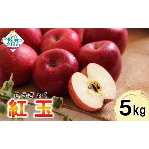 ふるさと納税 りんご 岩手県 陸前高田市 料理やお菓子作りにおすすめ りんご 約5kg 品種:紅玉 数量限定 リンゴ 林檎 果物 フルーツ 新鮮 家庭用