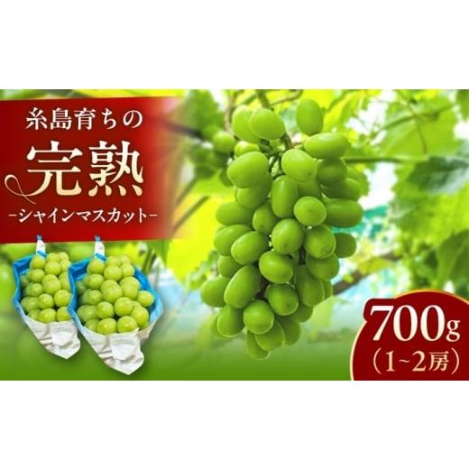 ふるさと納税 ぶどう マスカット 福岡県 糸島市 先行予約 福岡県 糸島市産 完熟 シャインマスカット 700g 1-2房 2026年8月下旬以降順次発送 糸島市 / 谷川…