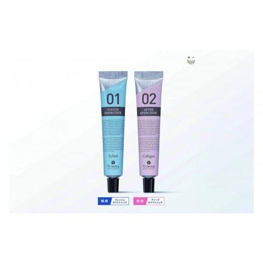 ふるさと納税 美容 神奈川県 川崎市 キシリトールフレーバー 薬 用BIOホワイトニングジェル (朝用)&薬用BIOホワイトニ ングジェル(夜用) 2本セット