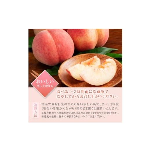 ふるさと納税 もも 山梨県 甲州市 匠の逸品 桃 約2kg（5〜8玉入り） 2026年発送 （NK）B-421 桃 もも モモ 令和8年発送 期間限定 山梨県産 甲州市 フルーツ 果…の画像