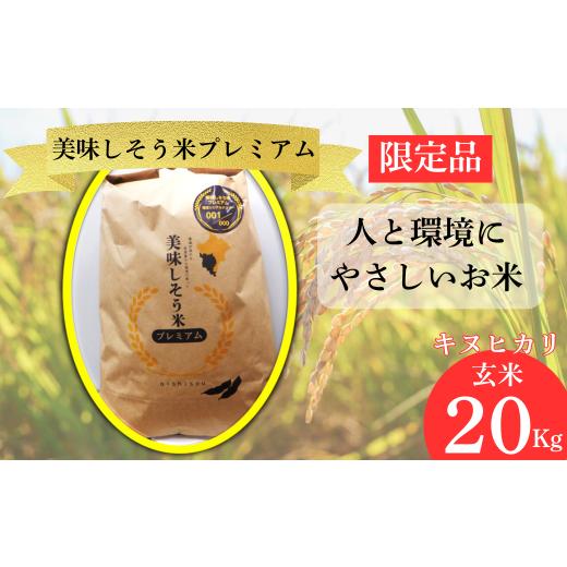 ふるさと納税 米 兵庫県 宍粟市 I11 数量限定 キヌヒカリ 玄米 20Kg 美味しそう米 プレミアム 令和7年産 新米 限定 数量限定 令和7年産 新米 お米 コメ …