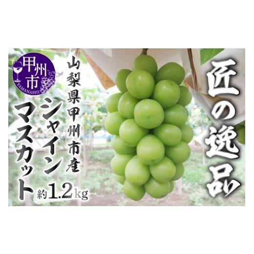 ふるさと納税 ぶどう 山梨県 甲州市 匠の逸品 シャインマスカット 約1.2kg(2〜3房入り) 2026年発送 (NK)B-422 シャインマスカット 葡萄 ぶどう ブドウ 令…