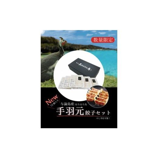 ふるさと納税 餃子 鹿児島県 与論町 与論島産 ほろほろ鳥の手羽元餃子セット(12個入り)×6pc