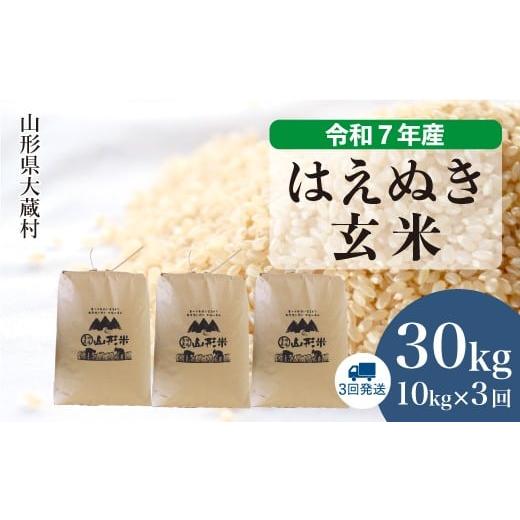 ふるさと納税 玄米 山形県 大蔵村 令和7年産米 はえぬき 玄米 30kg定期便 (10kg×3回発送) 配送時期選べます