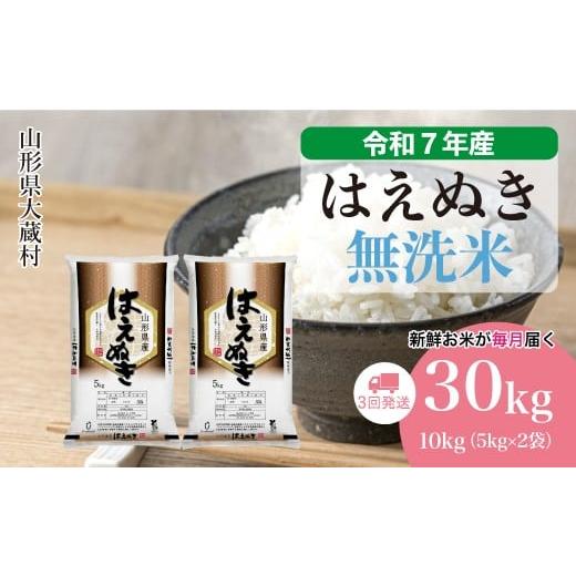 ふるさと納税 無洗米 山形県 大蔵村 令和7年産米 はえぬき 無洗米 定期便 30kg (10kg×1ヶ月間隔で3回お届け) 配送時期選べます