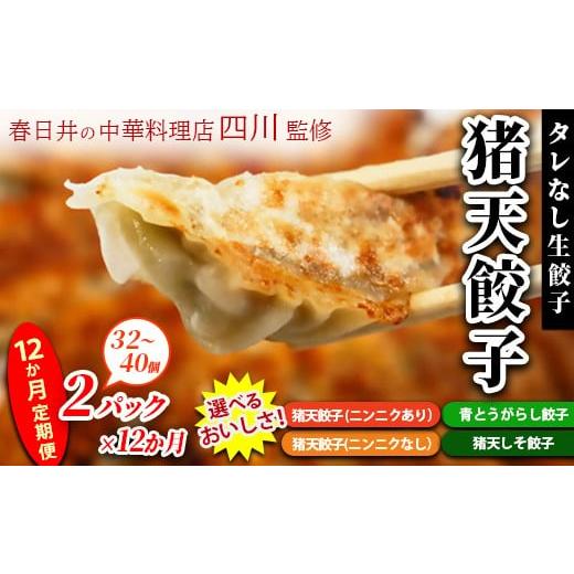 ふるさと納税 餃子 愛知県 春日井市 猪天餃子(ニンニクあり) 12ヶ月定期便 春日井の中華料理店四川監修タレなし生餃子「猪天餃子」 12ヶ月コース 猪天餃子…