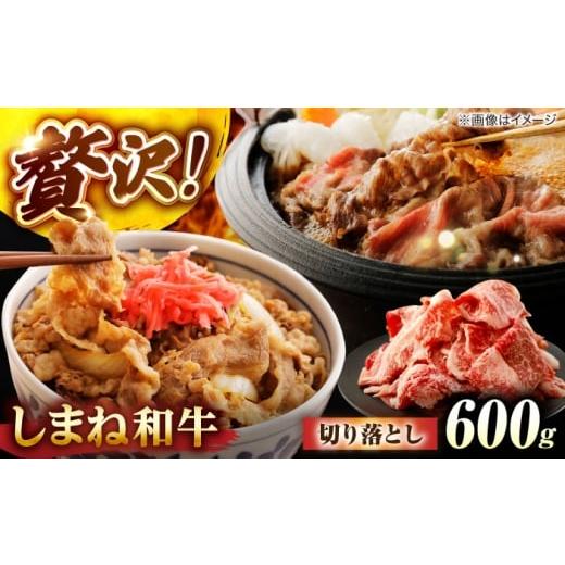 ふるさと納税 牛肉 島根県 松江市 しまね和牛切り落とし 600g 島根県松江市/株式会社さんれいフーズ