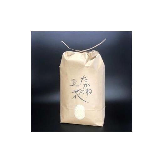 ふるさと納税 米 コシヒカリ 新潟県 村上市 令和7年産米 定期便:3ヶ月連続でお届け 新潟県村上市岩船産 棚田米コシヒカリ「たかねの花」 5kg×3ヶ月 110400…