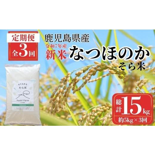 ふるさと納税 米 鹿児島県 肝付町 D93001 定期便・計3回(連続) 農家直送 令和7年産 新米 鹿児島県産 なつほのか 15kg (5kg×3回)国産 自家精米 精米 白米 ご…