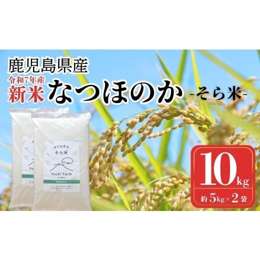 ふるさと納税 米 鹿児島県 肝付町 B93001 農家直送 令和7年産 新米 鹿児島県産 なつほのか 10kg 国産 自家精米 精米 白米 ごはん ご飯 お米 コメ こめ 悠希農…