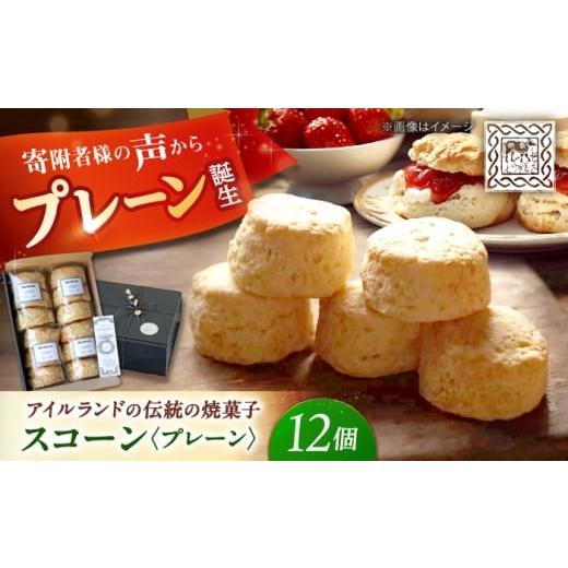 ふるさと納税 焼菓子・チョコレート 長崎県 西海市 素朴ながらも奥深い味わい プレーンスコーン 12個入り