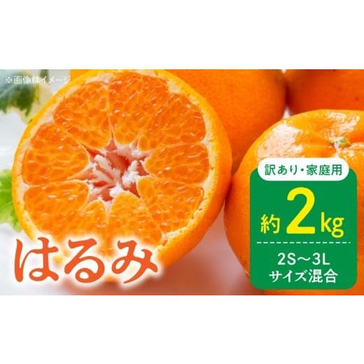 ふるさと納税 果物類 みかん 和歌山県 湯浅町 DZ6219_ 2026年先行予約 訳あり 家庭用 はるみ 和歌山 有田 2S〜3Lサイズ混合 約2kg
