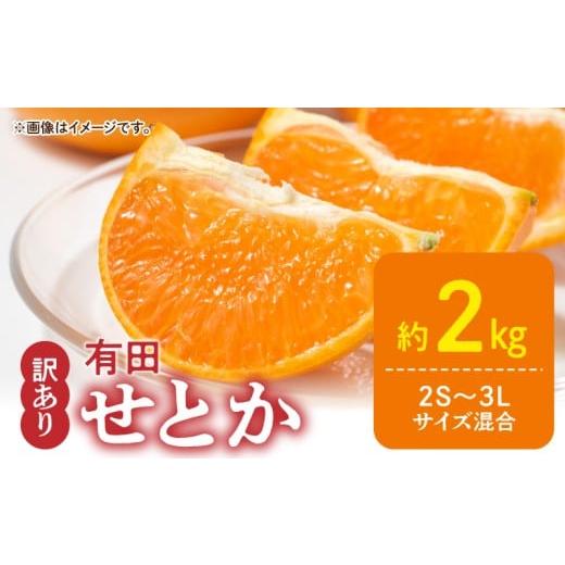 ふるさと納税 果物類 みかん 和歌山県 湯浅町 DZ6230_ 2026年先行予約 ご家庭用 せとか 和歌山 有田 2S〜3Lサイズ 大きさお任せ 約2kg