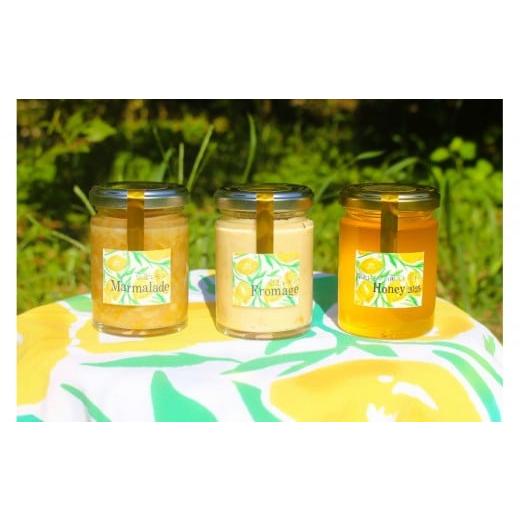 ふるさと納税 ジャム 大阪府 堺市 泉北レモン(R)至福の3本セット(マーマレード・フロマージュ・レモンはちみつ)