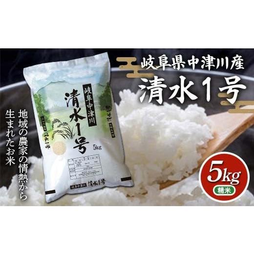 ふるさと納税 米 岐阜県 中津川市 岐阜県中津川産 お米 清水1号 5Kg 米 お米 コメ ごはん ご飯 食品