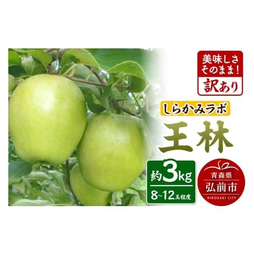 ふるさと納税 りんご 青森県 弘前市 25年12月〜発送 りんご 王林 訳あり 3kg しらかみラボ