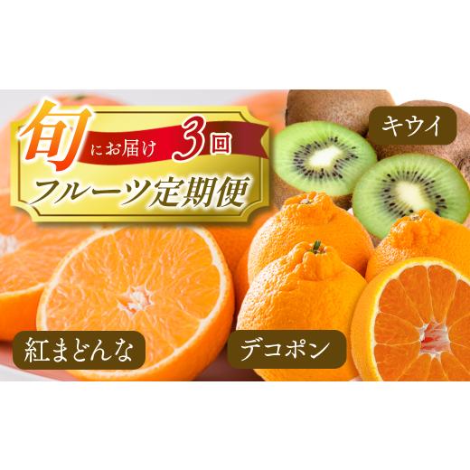 ふるさと納税 みかん・柑橘類 愛媛県 西条市 フルーツ定期便 全3回 愛媛県 西条市 旬のフルーツ定期便 紅まどんな キウイフルーツ デコポン 2025年11月下旬〜…